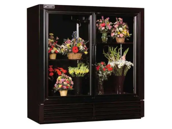 Energy-Efficient Swinging Glass Door Floral Refrigerator with LED Lighting