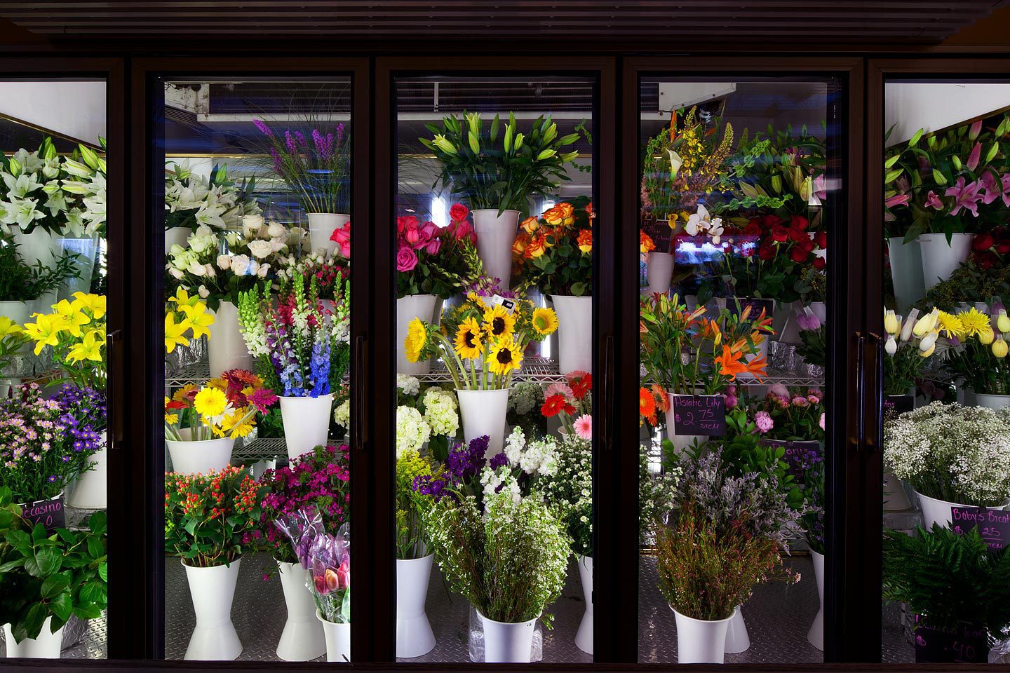 seasonal flowers arranged in a floral cooler