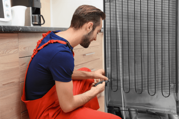 scientific Refrigerators for proper maintenance