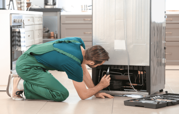 scientific freezer for proper maintenance