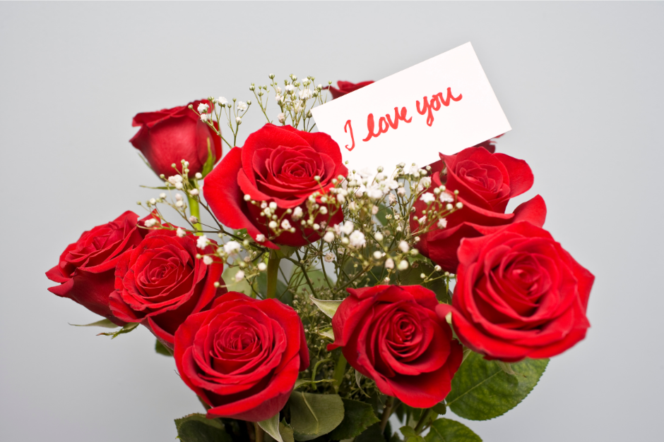 Keeping Roses Beautiful for Valentine’s Day - Powers Equipment