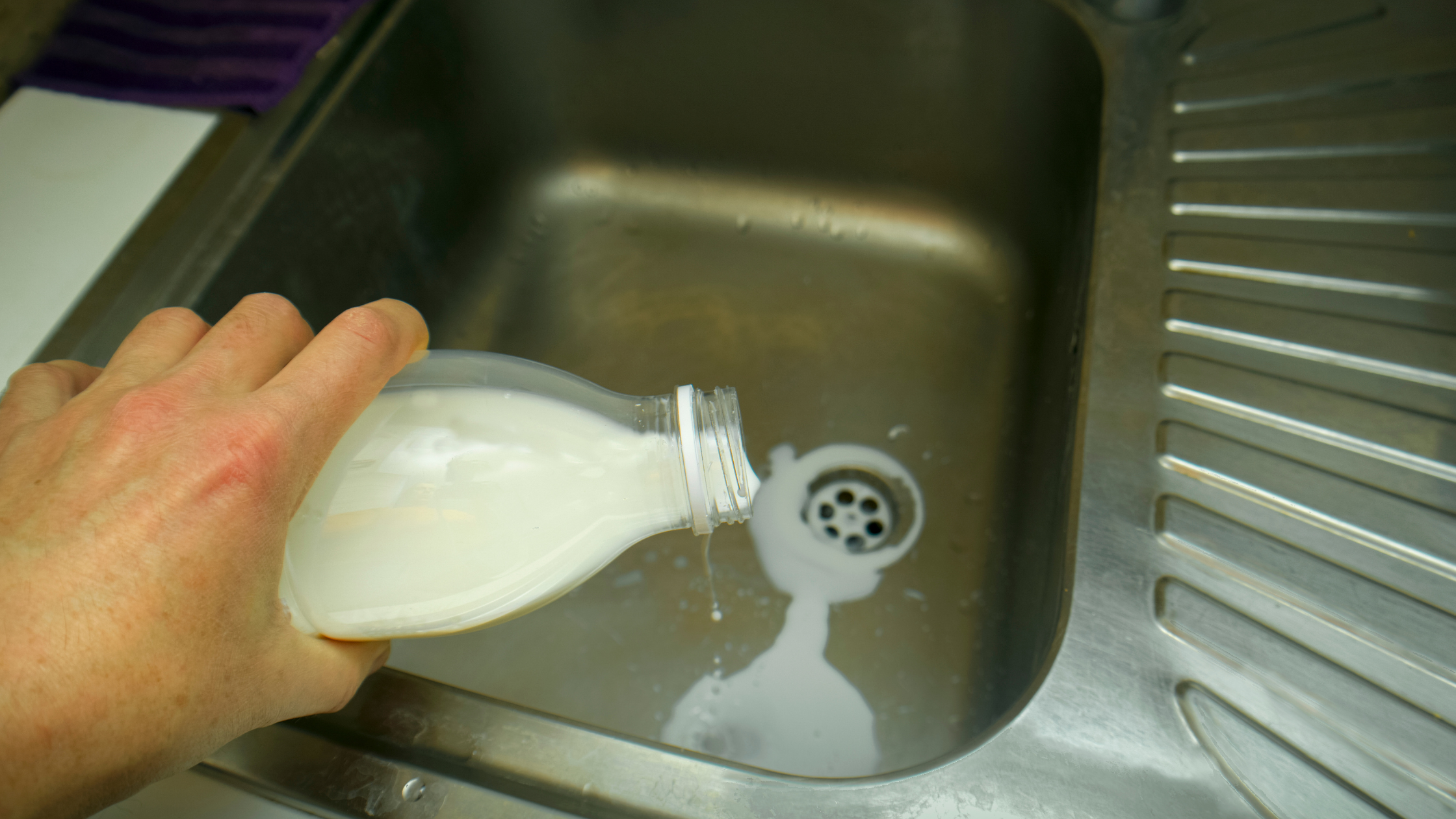 Spoiled milk is poured out in a sink